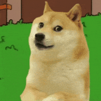 Run Away Shiba Inu GIF by Justin Run Away Shiba Inu GIF by Justin