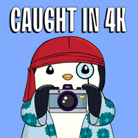 I See You Smh GIF by Pudgy Penguins I See You Smh GIF by Pudgy Penguins