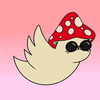 Fun Flying GIF by Sappy Seals Community