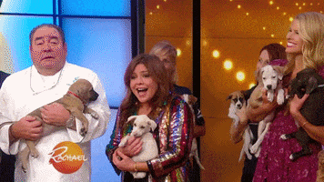 dog GIF by Rachael Ray Show