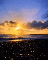 Good Night Beach GIF