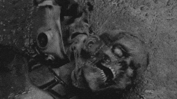 the walking dead zombie GIF