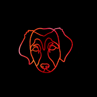 Dog Puppy GIF by littlekingdoms