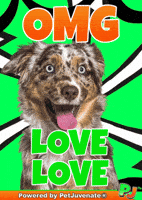 Awesome Love It GIF by PetJuvenate - PJ