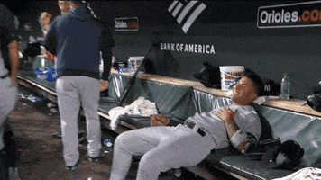 Basketball Nba GIF by YES Network