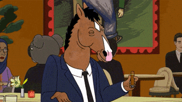 bojackhorseman GIF by NETFLIX