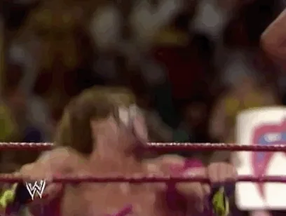 Ultimate Warrior Sport GIF by WWE