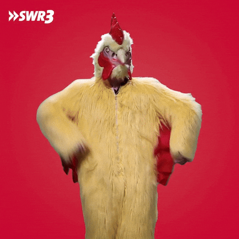 Chicken gif