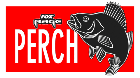 Perch gif