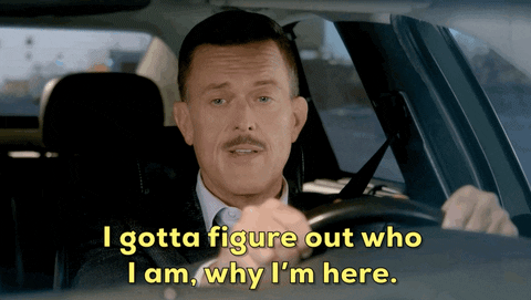 Introspection gif