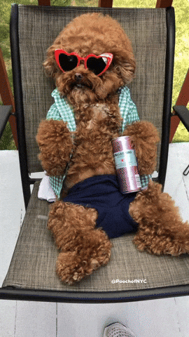 Relaxation gif