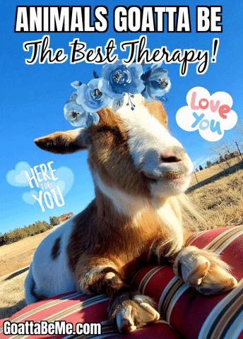 PetTherapy gif