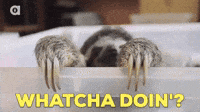 Whats Up What GIF by MOODMAN