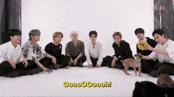 K-Pop Stray Kids GIF by BuzzFeed
