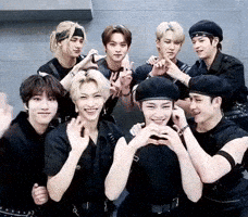Stray Kids Skz GIF