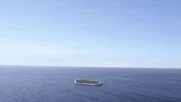 pitch black fox GIF by The Last Man On Earth