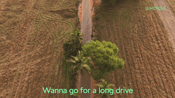 Wanna Go GIF by Skoda India