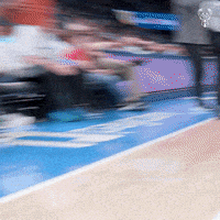Giannis Antetokounmpo Sport GIF by Milwaukee Bucks