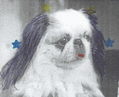 Surprised Ice Cream GIF by Beeld en Geluid