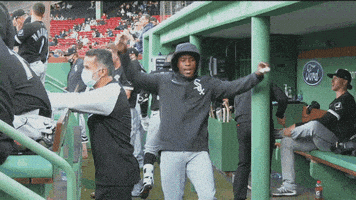 Happy White Sox GIF by MLB