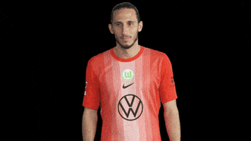 Fail Oh No GIF by VfL Wolfsburg