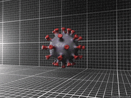 Soap Wash Your Hands GIF by sheepfilms