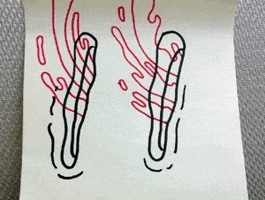 animation illustration GIF by gifburns