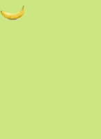 GIF by Shaking Food GIFs