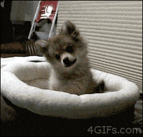 interested youtube GIF