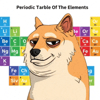 Shiba Inu Dog GIF by Doge Pound