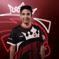 Oh No Facepalm GIF by Austrian Force eSports