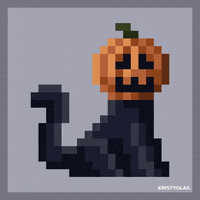 Cat Lol GIF Cat Lol GIF