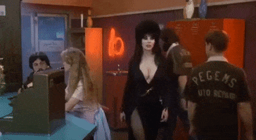 elvira mistress of the dark halloween GIF elvira mistress of the dark halloween GIF