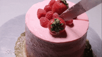 fail cake boss GIF by Rachael Ray Show fail cake boss GIF by Rachael Ray Show