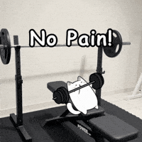 Working Out White Cat GIF by MESA My Emotional Support Animal