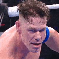 You Cant See Me John Cena GIF by WWE