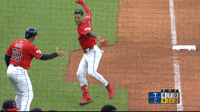 Sport Celebrate GIF by MLB
