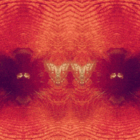 Art Horror GIF by Death Orgone