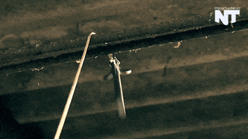 assassin's creed news GIF by NowThis 