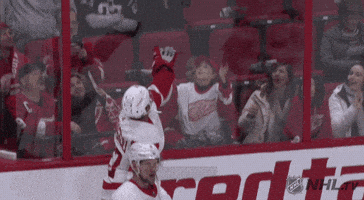 happy ice hockey GIF by NHL