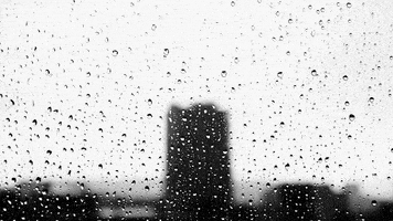 black and white loop GIF by A. L. Crego