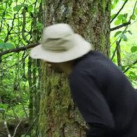 Oregon Wilderness GIF by Four Rest Films