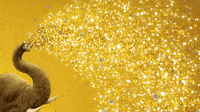 Celebrate New Year GIF by San Diego Zoo Wildlife Alliance