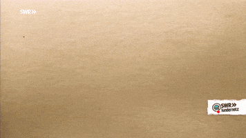 easter eggs spring GIF by SWR Kindernetz