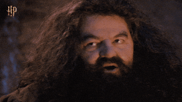 Warner Bros Thank You GIF by Harry Potter Warner Bros Thank You GIF by Harry Potter