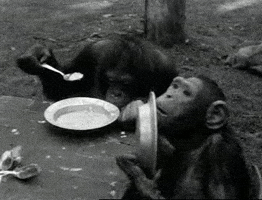 Hungry Food GIF by Beeld en Geluid