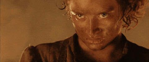 lord of the rings GIF lord of the rings GIF