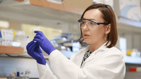 Scientists analyzing fitness supplements in lab, representing evidence-based approach