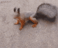 https://media3.giphy.com/media/v1.Y2lkPWI3NGU3MTk5MnAzeG1jMnV6bjYxM2NyN2E5ZXExaDVzOHEzNGVnNjUzMDVreWUydSZlcD12MV9naWZzX3RyZW5kaW5nJmN0PWc/l0IybQ6l8nfKjxQv6/100_s.gif