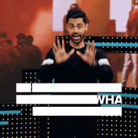 Hasan Minhaj Netflix GIF by Patriot Act